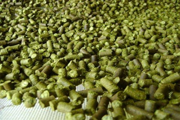 Hops Pellet